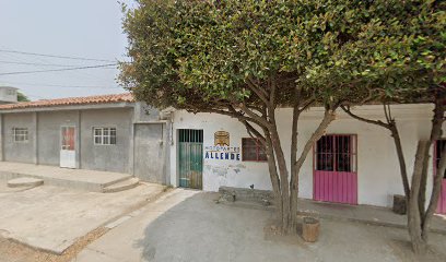 Negocio Motopartes Allende