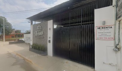 Negocio Refaccionaria Autoelectrica Badeba