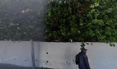 Negocio Refaccionaría Mayorga