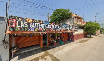 Negocio Todomoto Coatza